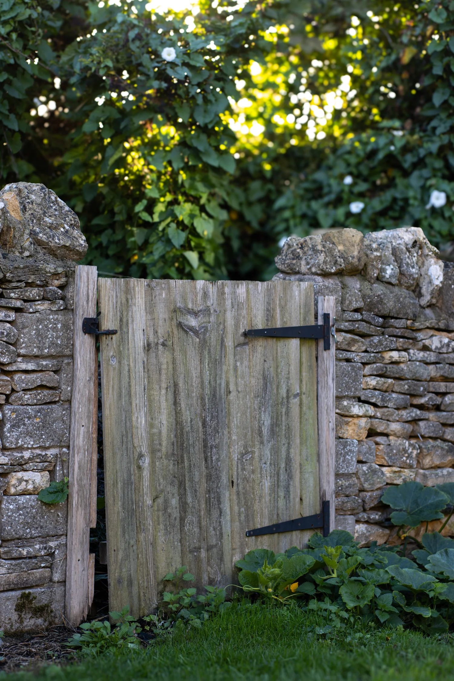 A rustic wooden gate with black metal hinges, set within a stone wall, surrounded by greenery and plants, with sunlight filtering through dense trees in the background. The Lamb Inn. 