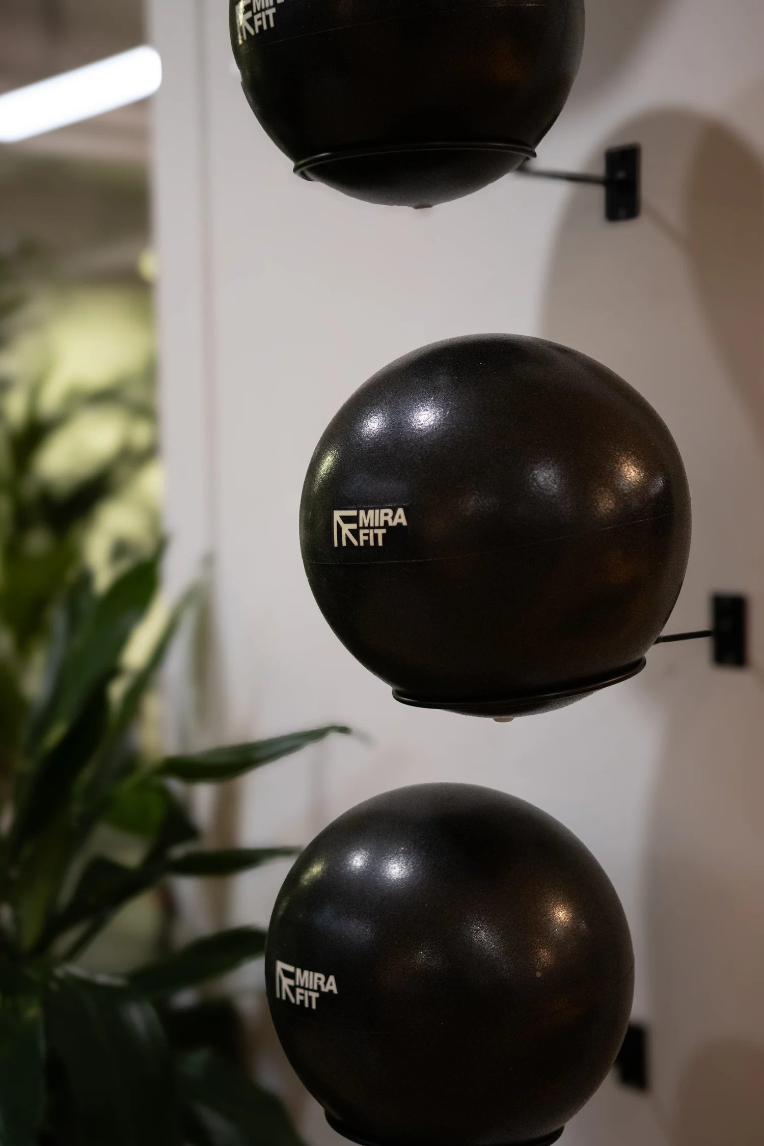 Three black medicine balls with the brand name 'MIRA FIT' stacked vertically on a wall-mounted rack, next to green leafy plants in the background. The Studio Cheltenham, Reformer Pilates. 
